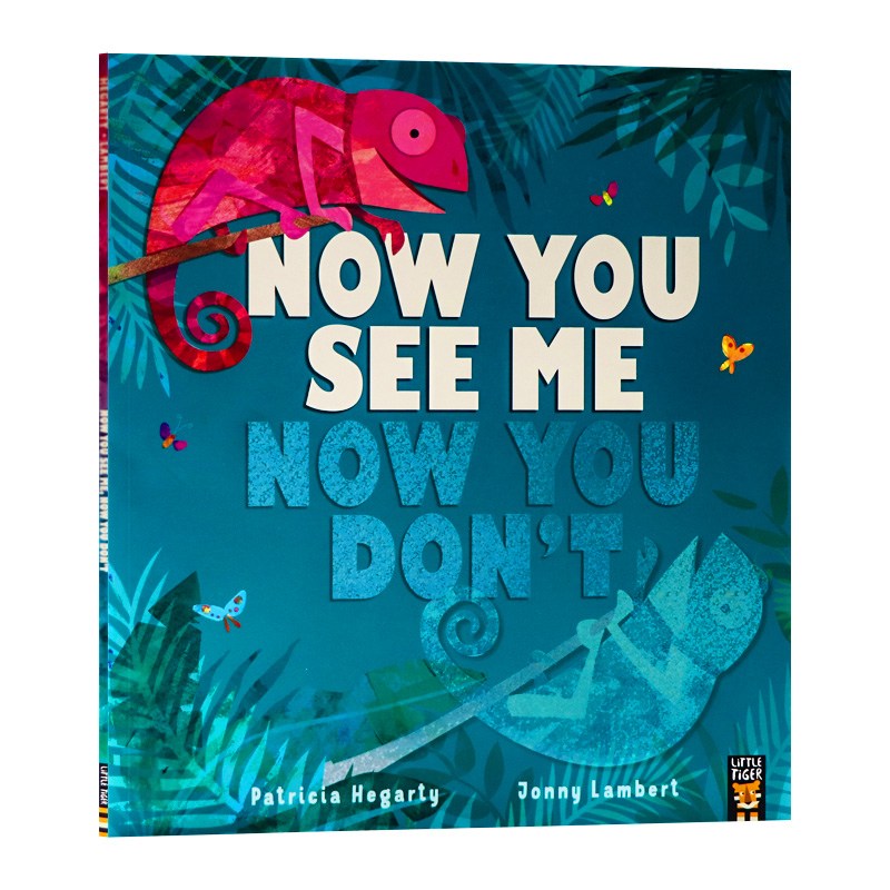 现在你看到我了英文原版