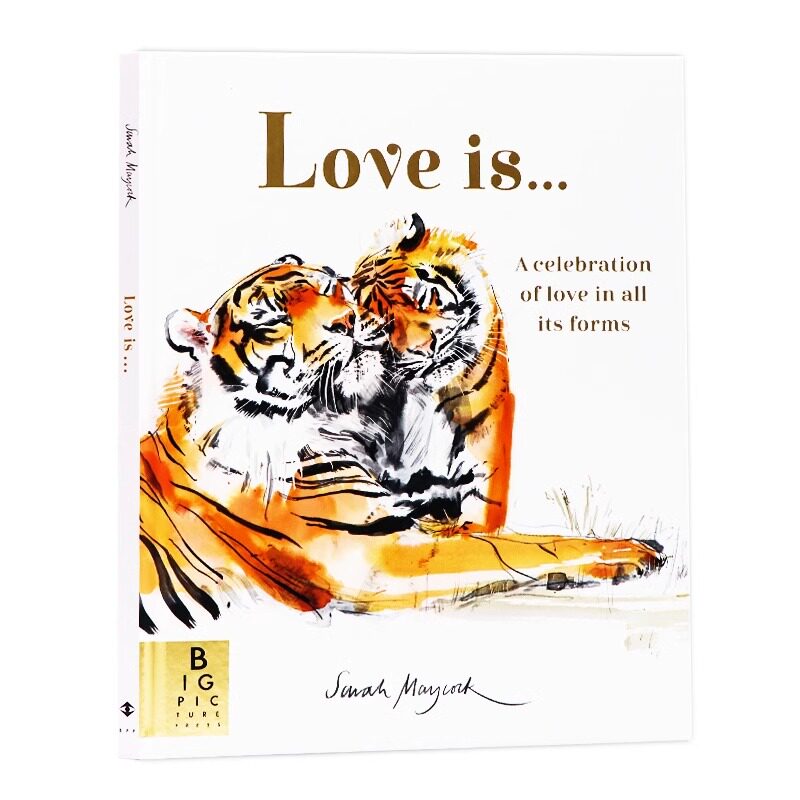 爱是什么英文 原版绘本 Sarah Maycock Love Is 儿童绘本 儿童启蒙故事书 Lily Murray Big Picture Press 精美插图 进口图书