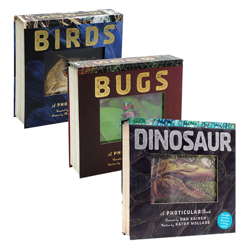 光与影视觉书3册英文原版