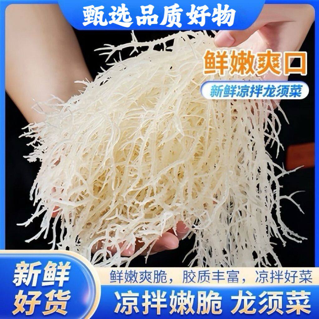 高泡发淡干龙须菜清爽脆嫩凉拌下饭搭配辣椒醋家常低脂海藻类干菜