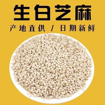 当年新收生白芝麻无杂质色泽白净凉拌糕点调味家用量贩袋装粗粮