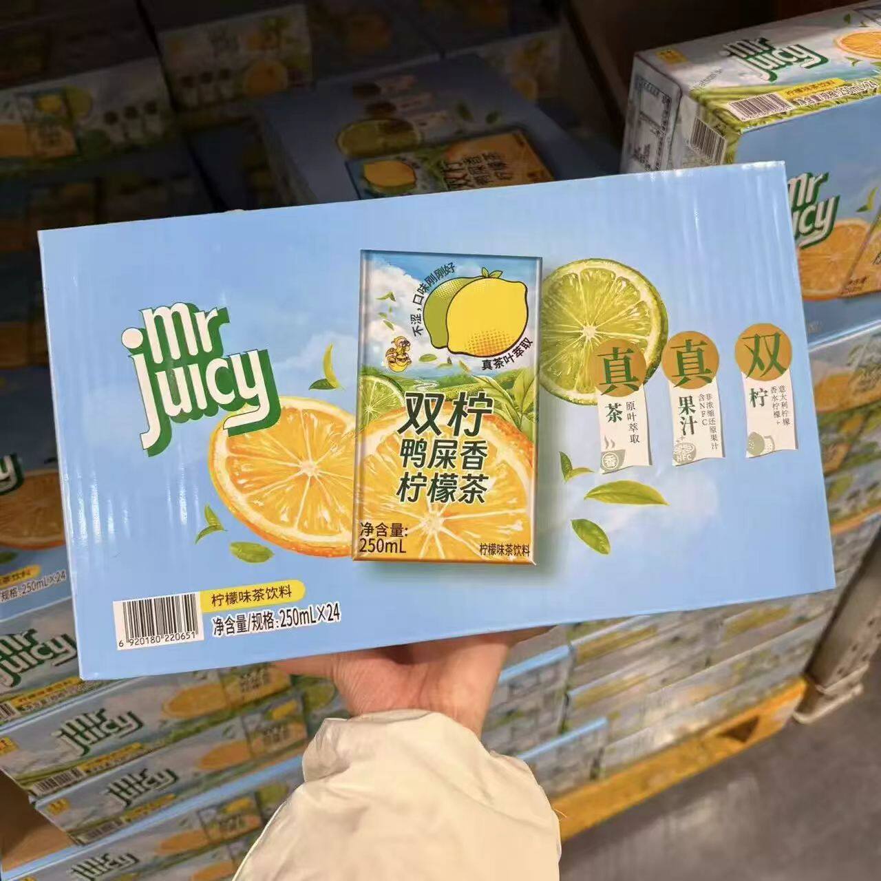山姆鸭屎香柠檬茶休闲饮料清爽解调味茶饮料