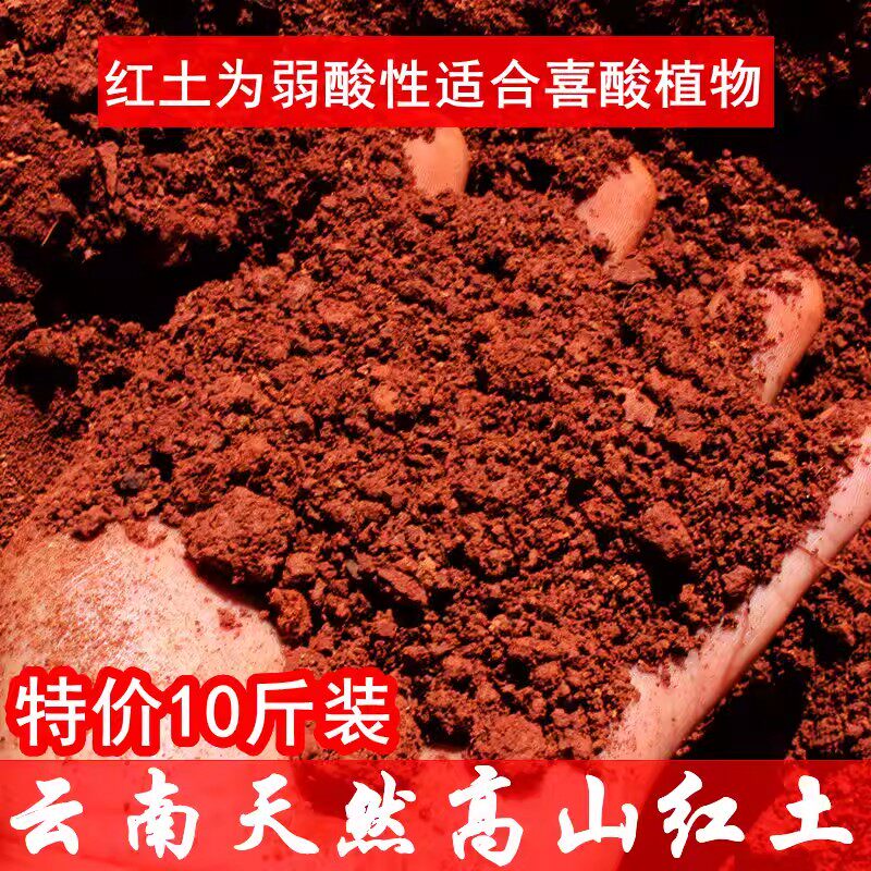 云南红土山茶花营养土酸性盆栽土