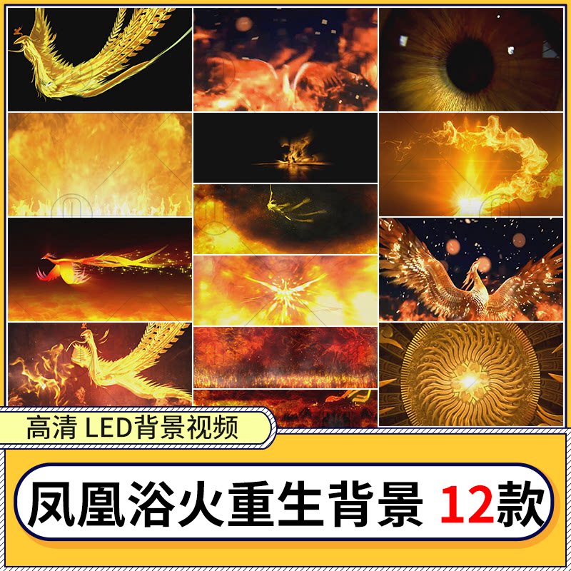 七彩火凤凰浴火重生涅槃开场燃烧飞翔舞台 led大屏幕背景视频素材