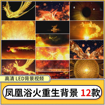 七彩火凤凰浴火重生涅槃开场燃烧飞翔舞台 LED大屏幕背景视频素材