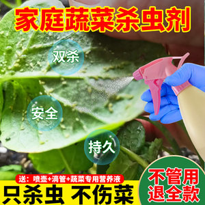 家庭蔬菜杀虫剂无毒菜园专用