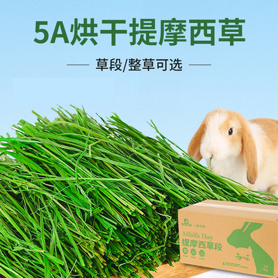 滨莉牧草干草草料营养足适合兔兔