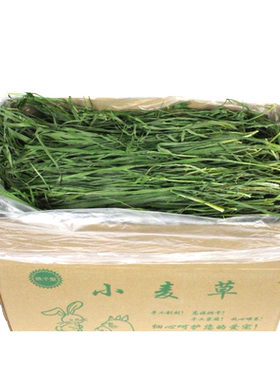 烘干小麦草干草兔子1000g小麦苗