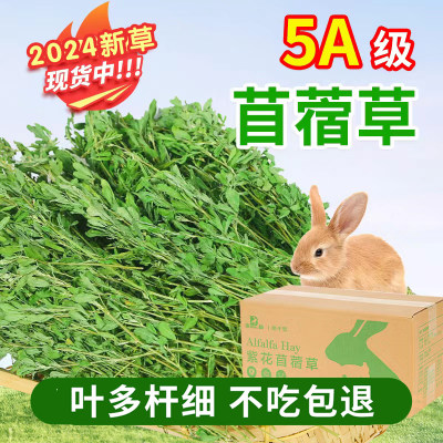 滨莉干草新烘干苜蓿草均衡营养