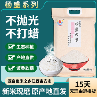 2025新米丝苗米5斤10斤20斤籼米农家虾田米南方大米煲仔饭专用米