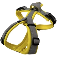 【Лучшая спина】 Желтый и серый