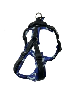 【Спины】 синий и нарушение