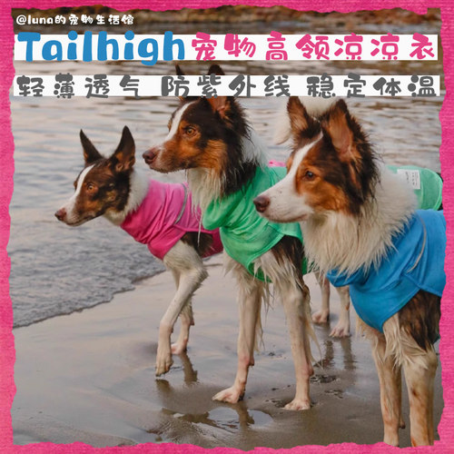 Tailhigh户外宠物高领防晒凉凉衣
