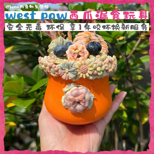 西爪解闷磨牙益智宠物漏食玩具