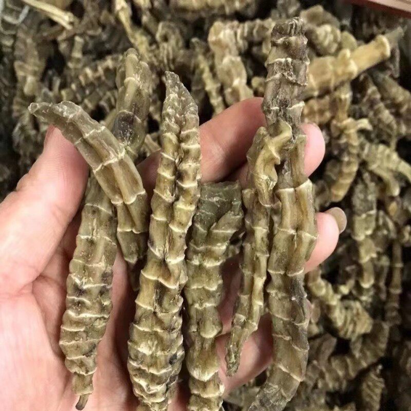 干地笋无硫天然地参云南当季虫草参地虫食用中药材银条菜特产地蚕