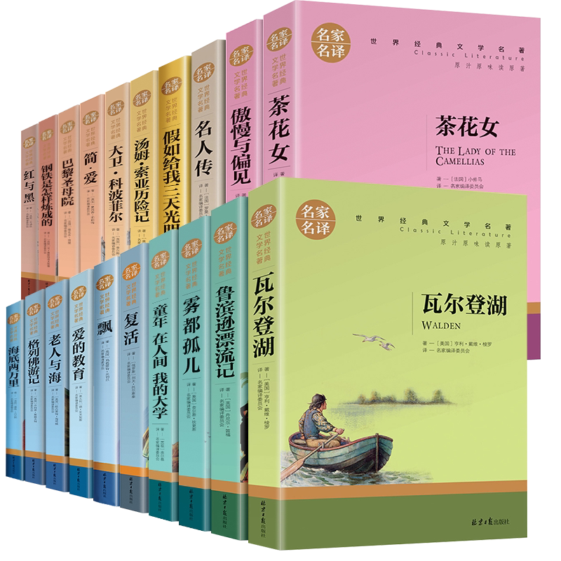 全20册世界二十大名著茶花女巴黎圣母院简爱假如给我三天光明海底两万里复活汤姆索亚历险记傲慢与偏见外国文学小说畅销书籍排行榜
