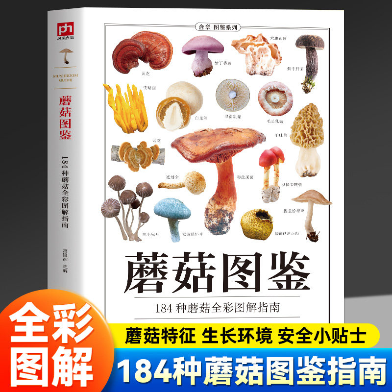 蘑菇图鉴正版184种蘑菇全彩图解指南 教你轻松准确辨识多样蘑菇的品种 揭开蘑菇的神秘面纱 蘑菇科普百科全书 青少年课外阅读书籍