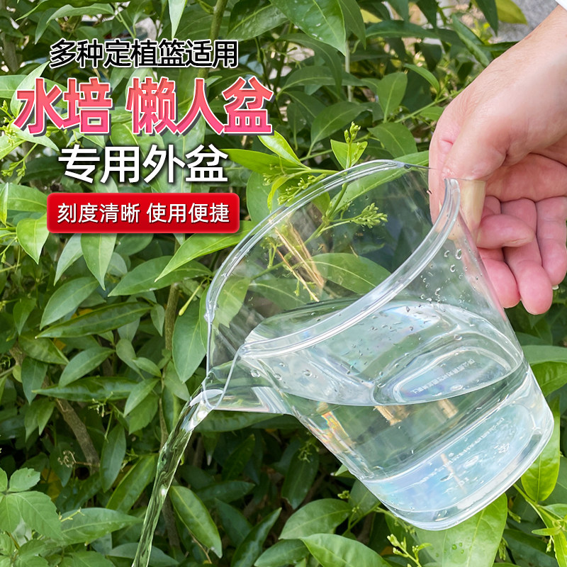 蝴蝶兰水培透明树脂定植篮双耳懒人外盆多肉郁金香风信子花盆,鲜花速递/花卉仿真/绿植园艺,花盆,淘宝优惠券,粉丝福利购,淘宝优惠卷