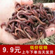 蚯蚓活饵太平二号地龙盒装 蚯蚓野外垂钓鱼饵鸟食龟食特大号红蚯蚓