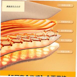 2025新款电热l毯双人双控调温开关单人学生宿舍家用电褥子十大名.