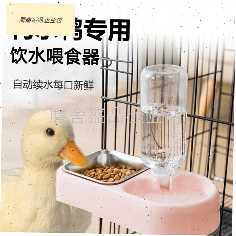 柯尔鸭喂食器h自动饮水器小鸭子小鸡食盆碗饲料盒喂宠物芦丁鸡水.