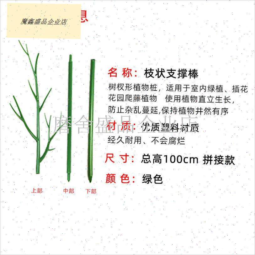 文竹支撑架植物固定防倒伏龟背竹B支G撑杆绿萝爬藤花架支架园艺.