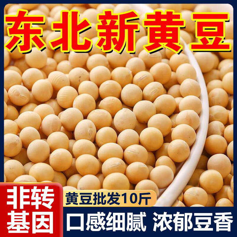 东北黄豆10斤农家自种打豆浆专用非转基因有机黄豆官方旗舰店