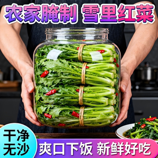 正宗农家雪里红新鲜腌菜雪菜配菜腌制红菜袋装酱腌菜下饭菜雪里蕻