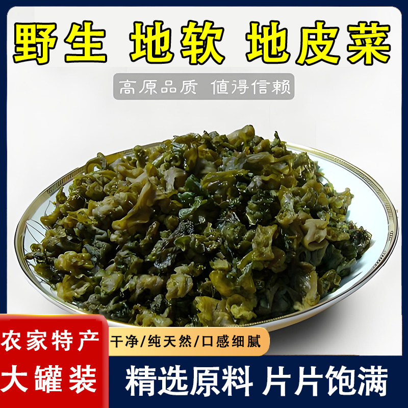 地软地皮菜甘肃野生雷公菌野菜干货特级免洗地衣新地鲜木耳地角皮