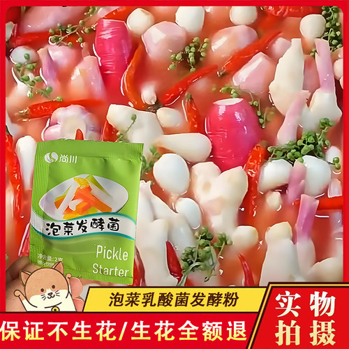 泡菜发酵菌正品粉乳酸菌泡菜母水粉四川泡菜东北老坛酸菜不生花剂