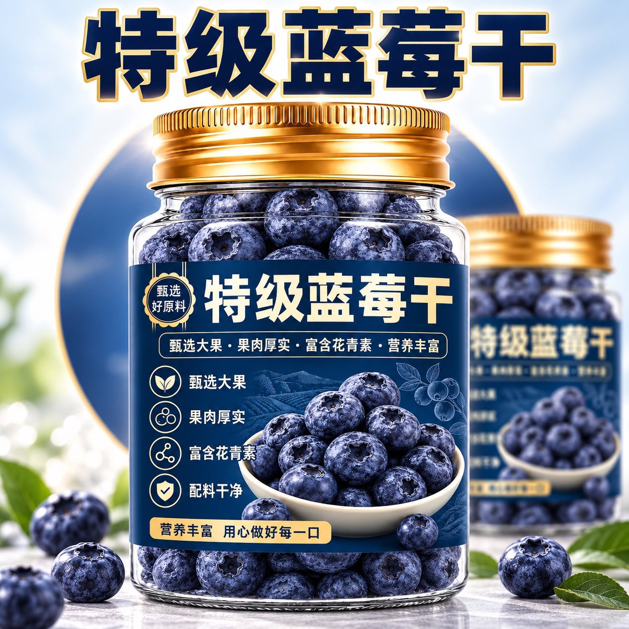 正宗特级蓝莓干蜜饯零食长白山