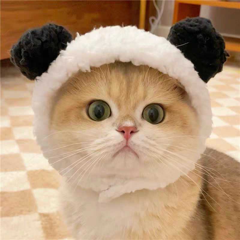 宠物毛绒变装帽子头套｜狗狗猫咪