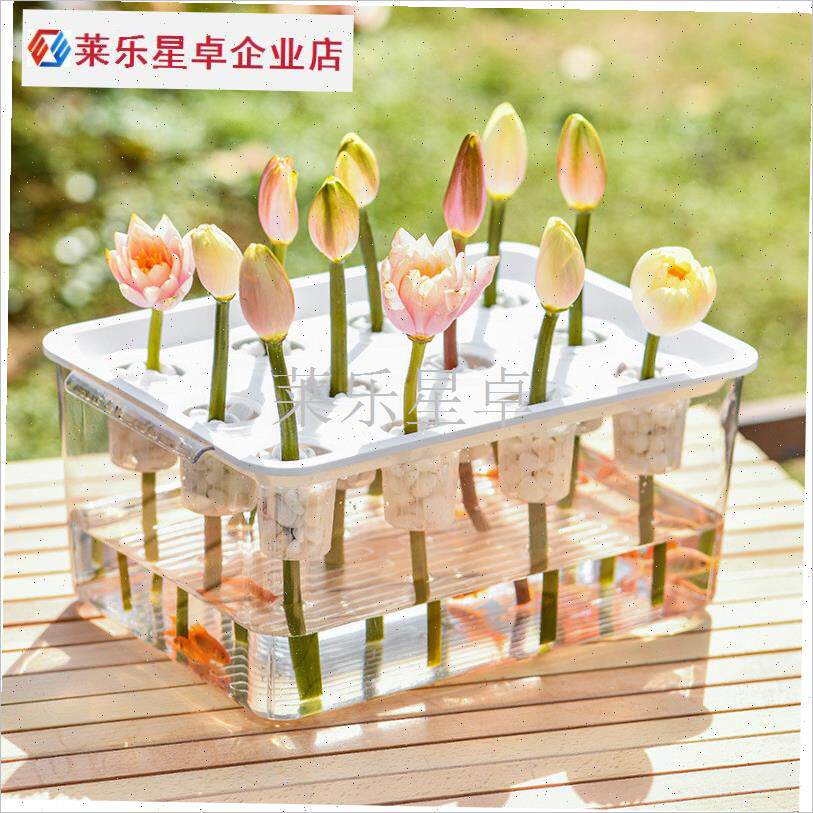 塑料透明鱼缸造景无土q栽培设备种植箱静态阳台种菜水培植物育苗.