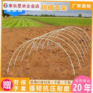 大棚支架拱杆育苗新型小拱棚实心玻F璃纤维农用蔬菜骨架种菜支撑.