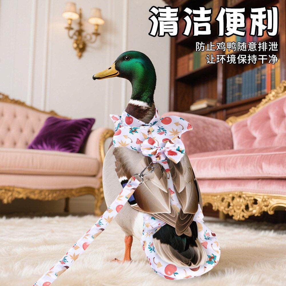 科尔鸭鸡鸭子尿不湿纸尿