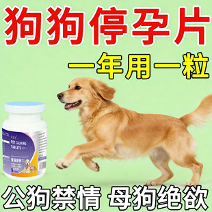 狗狗绝育药公母狗通用永久绝育抑制发情控制情绪专用不生崽禁情片