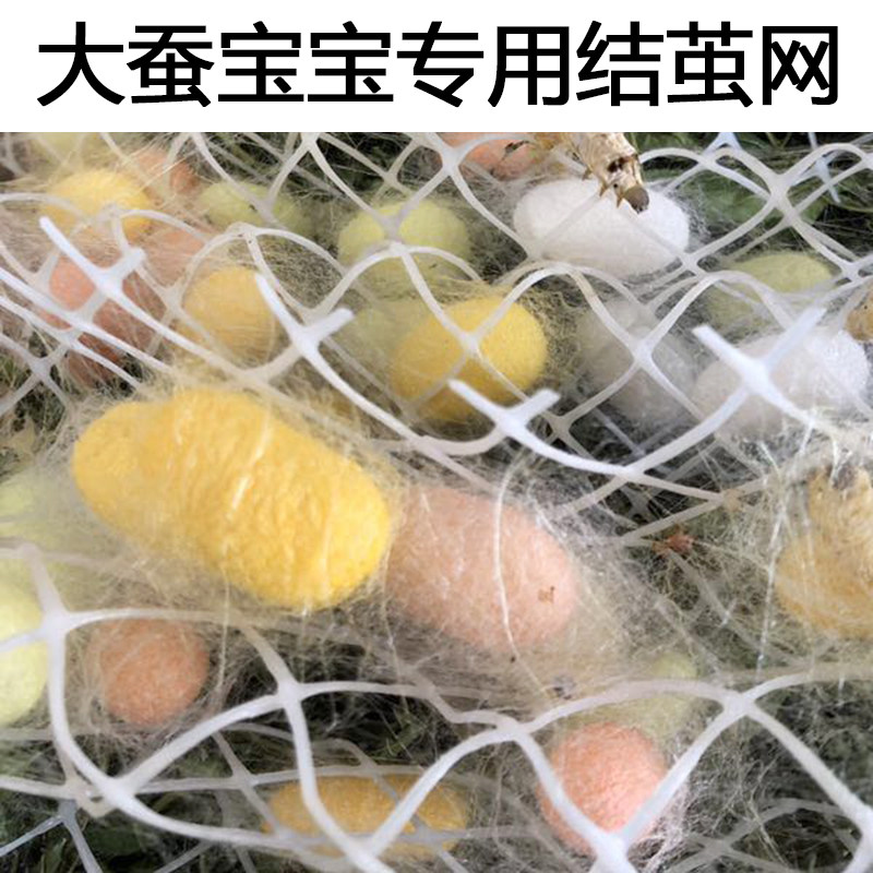 大蚕宝宝结茧上簇网 上山吐丝网方格簇养蚕工具大茧网塑料