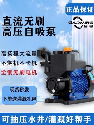 直流无刷自吸水泵48V60V通用电动车抽水泵抽水机家用24V12V浇菜72