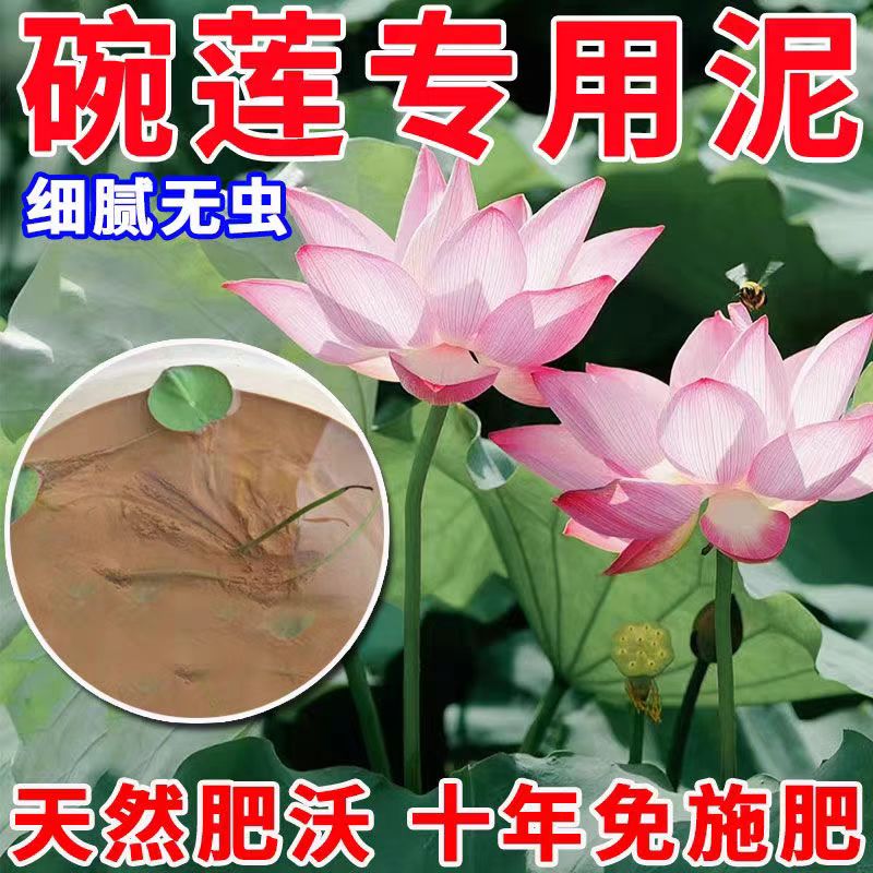 天然荷塘泥铜钱草专用水生植物营养泥家养莲花荷花专用天然河淤泥
