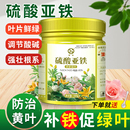 硫酸亚铁花肥料改善土壤酸性茶花栀子花专用肥盆栽花卉绿植通用型