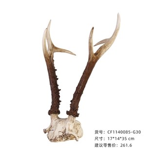 北欧复古摆件狍子头骨鹿角羚羊角山羊角动物头骨家居装饰品树