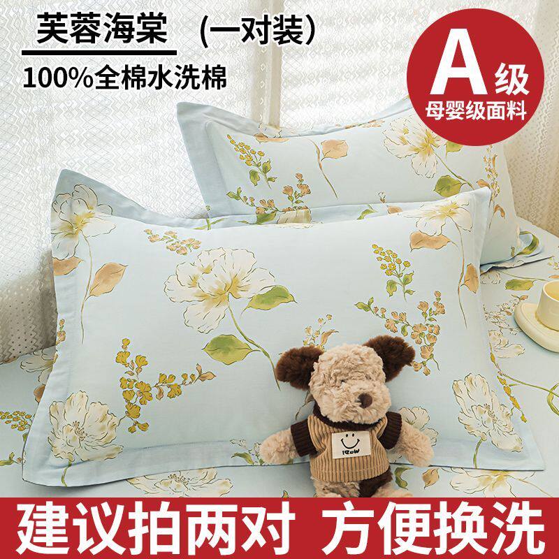 南极人枕套全棉纯棉2024新款枕头套一对装家用48x74cm枕头内胆套