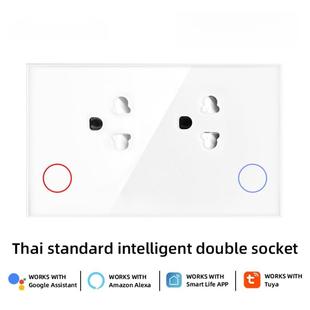 原厂泰标智能插座Homekit WIFI远程控制带过载保护计电量功能开关