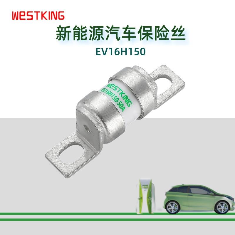 PDU保险丝 BS88 - 150VDC，BUSSMANN LET FUSE 替代品 EV16H150 电子元器件市场 熔丝/保险丝座/断路器/保险管 原图主图