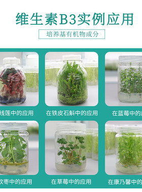 园艺尼克酸维生素B3维生素PPvb3烟酸有机物Nicotinicacid