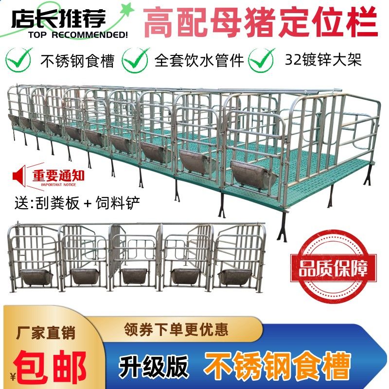 新款限位栏母猪定带板养