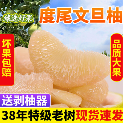 十月红心蜜柚度尾文旦柚