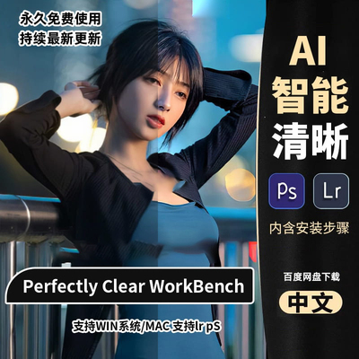 Perfectly ClearWorkBenchV4.6中文版AI智能细节图像清晰处理工具