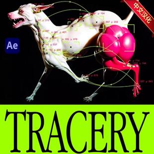 中文汉化AE自动化颜色跟踪动态图形叠加插件Tracery V1.1 Win/Mac