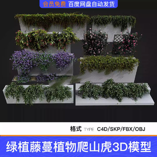 绿植藤蔓植物爬山虎蔷薇爬藤常青花藤藤本绿植SU模型C4D素材